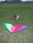 Bell_and_kite (Small)