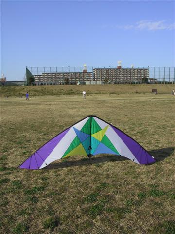 big_kite (Small)