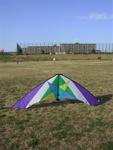 big_kite (Small)