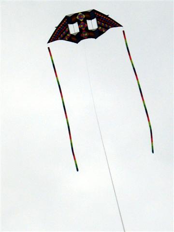 double DC kite (Small)