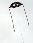double DC kite (Small)