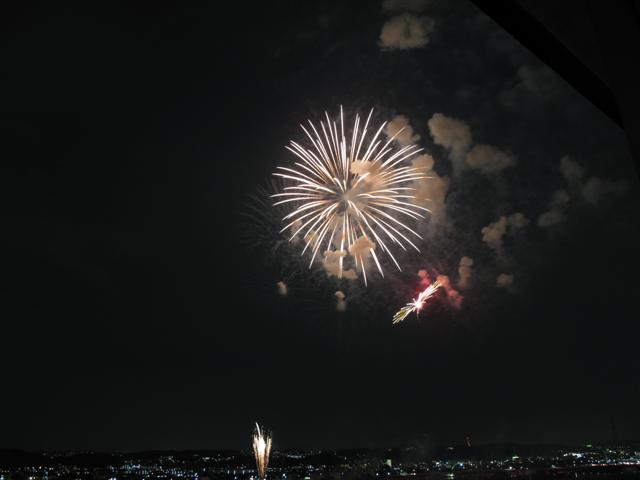 Tama 2009 (1) (Small)