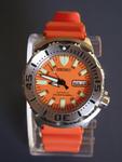 watch (16) (Small)